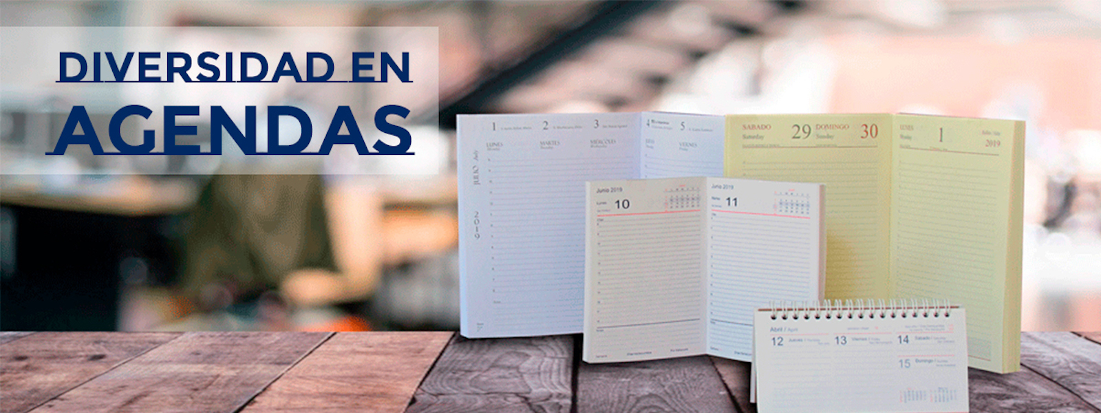 Diversidad en Agendas